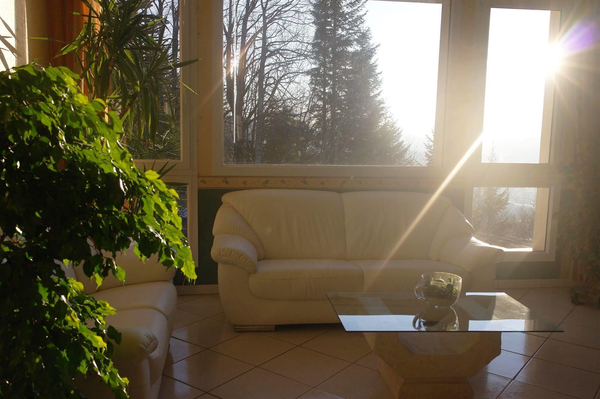 Hostellerie Saint Clement Vic-sur-Cère Екстериор снимка
